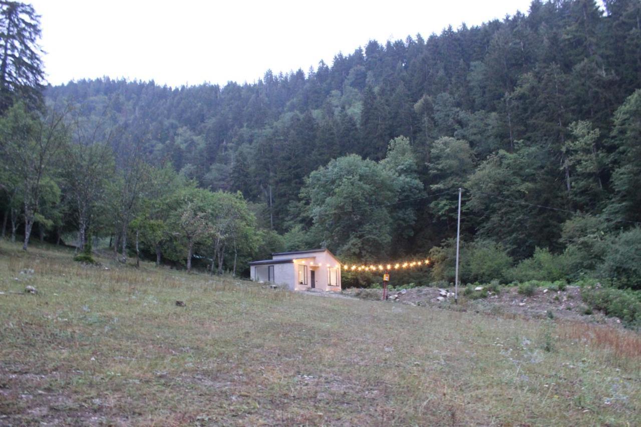 Cozy House In The Forest Bordžomi Exteriér fotografie