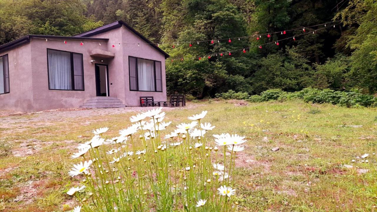 Cozy House In The Forest Bordžomi Exteriér fotografie