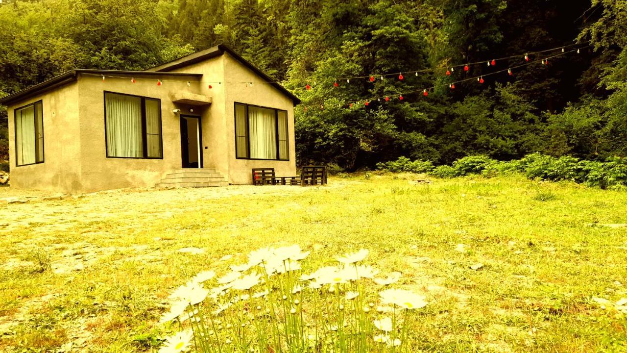 Cozy House In The Forest Bordžomi Exteriér fotografie