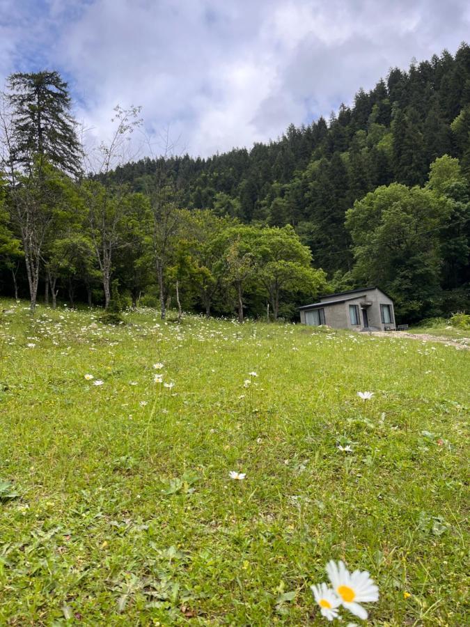 Cozy House In The Forest Bordžomi Exteriér fotografie