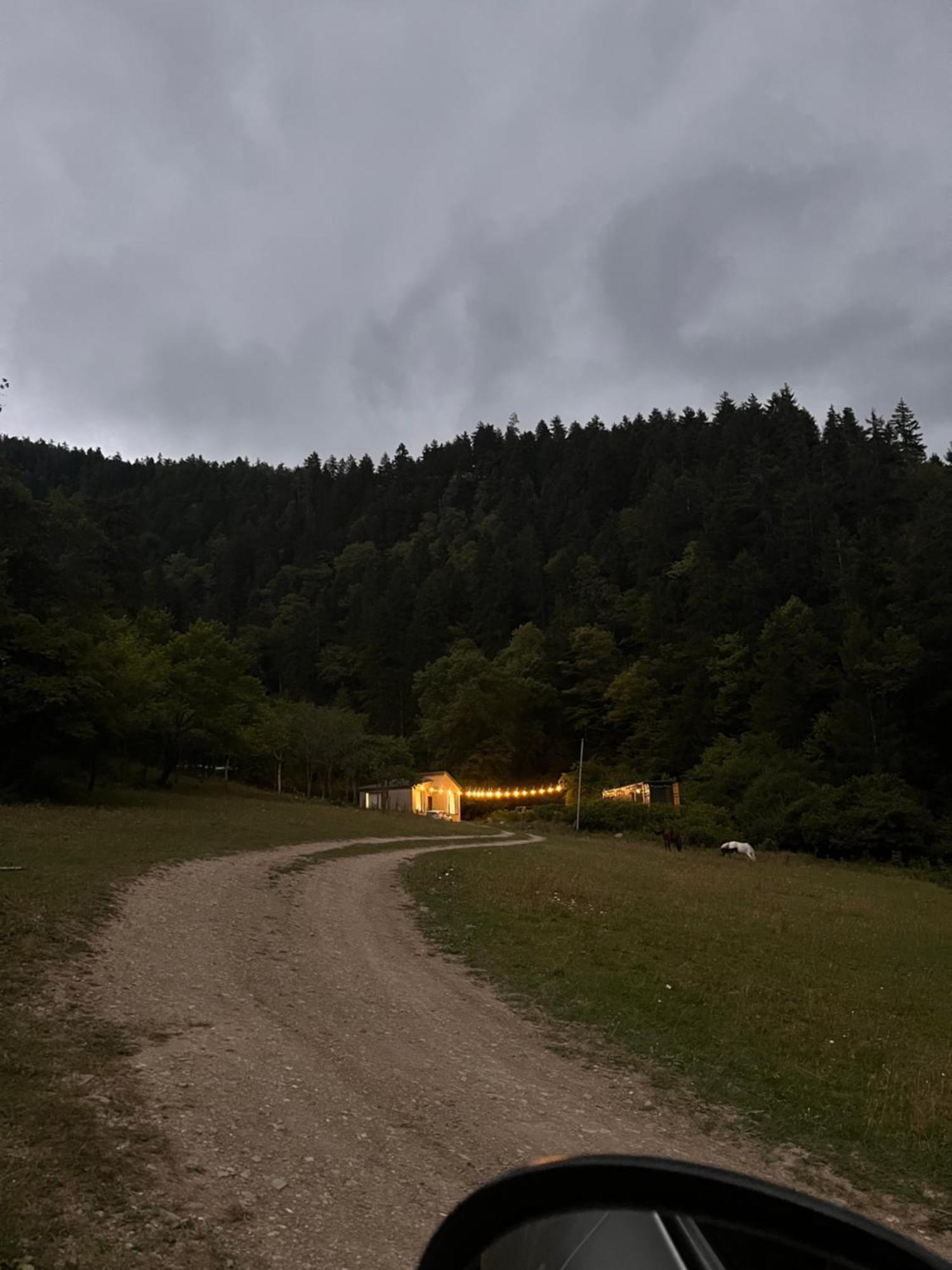 Cozy House In The Forest Bordžomi Exteriér fotografie